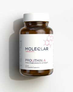 ProLithin A® Kapseln (Urolithin A)