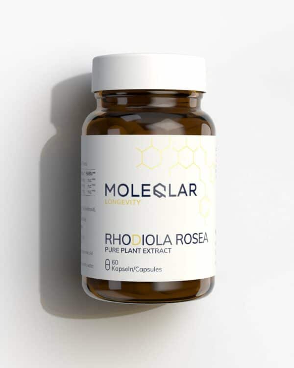 Rhodiola Rosea Kapseln