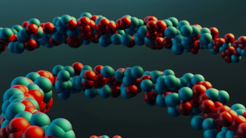 DNA-Doppelhelix-Modell als Symbol fuer NMN, NAD+ und zellulaere Longevity