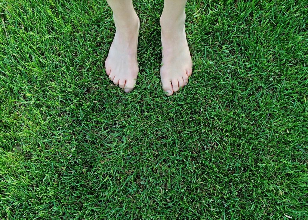 Barfuß im grünen Gras stehen – Grounding bzw. Erden