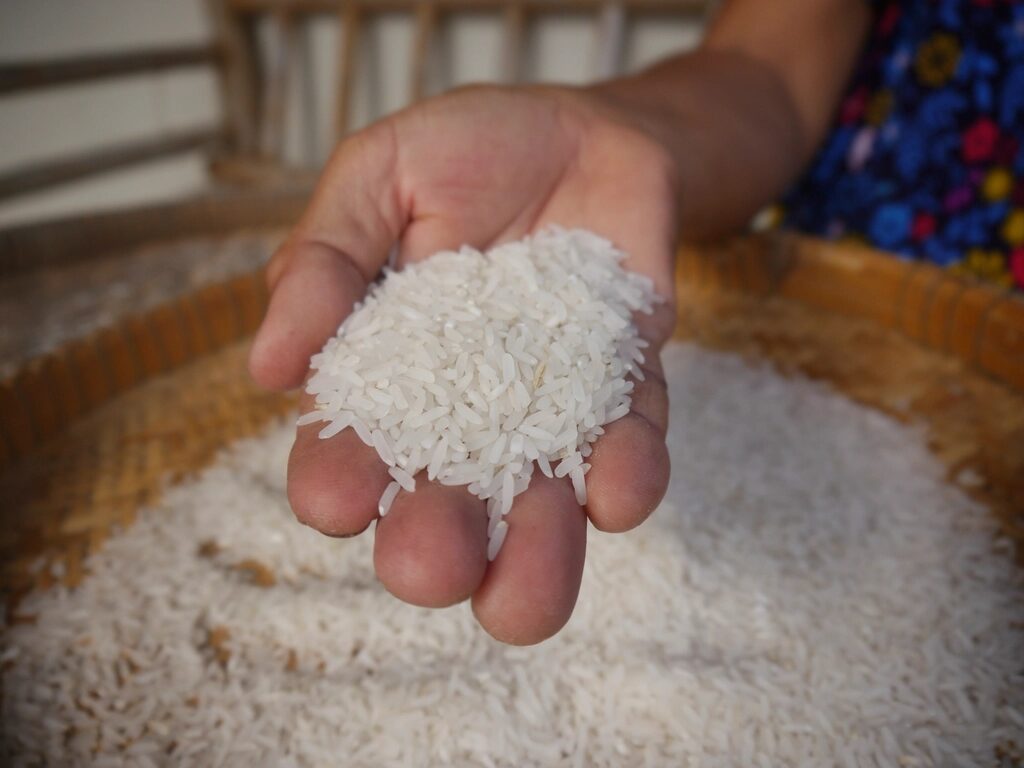 Rice Bucket Training: Mein Erfahrungsbericht (Griffkraft & Unterarme)
